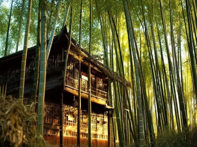 竹海天元酒店，寻找美好回忆的完美体验